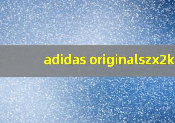 adidas originalszx2k